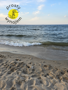 INSATE SPÓŁKA Z OGRANICZONĄ ODPOWIEDZIALNOŚCIĄ - 58